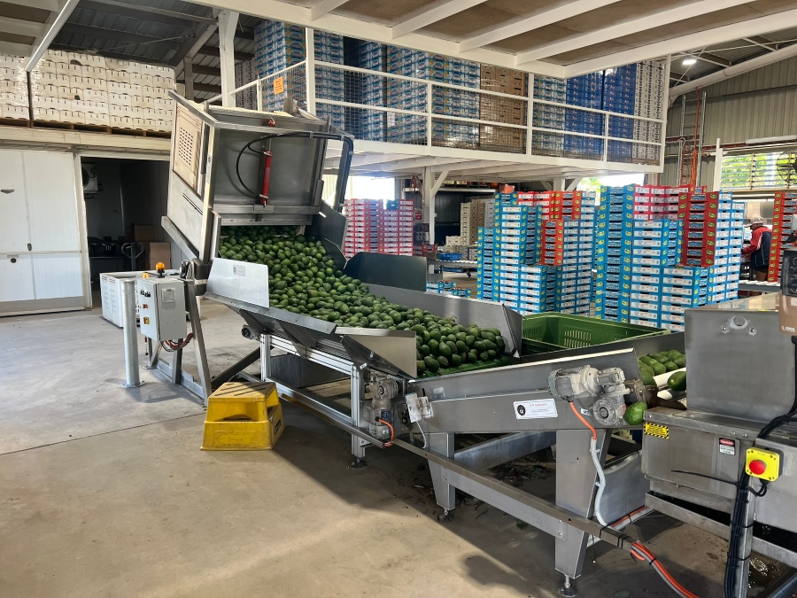 Belt & Roller Creep Feeder